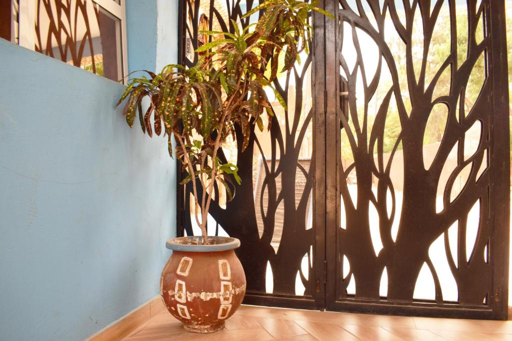 Hotel Mimosa Airport