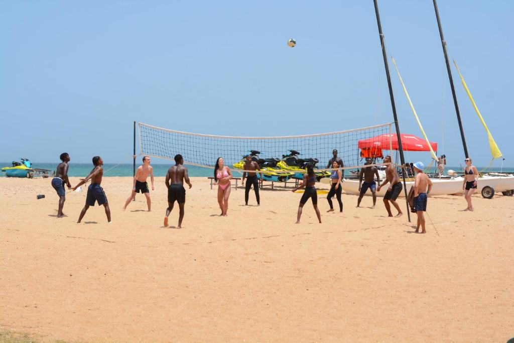 Royal Horizon Baobab