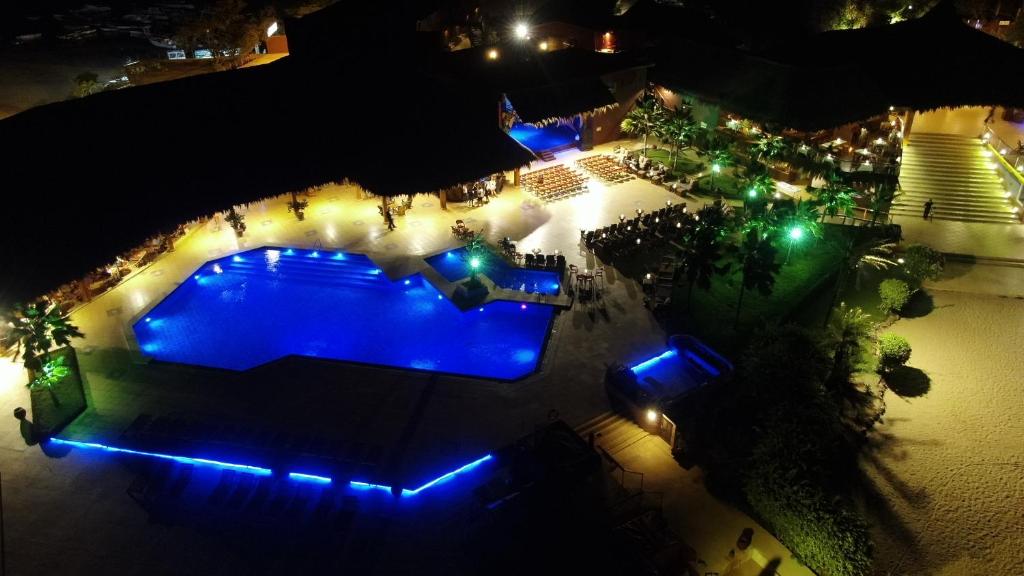 Royal Horizon Baobab