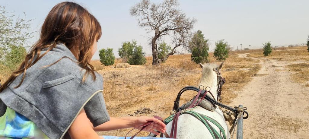 Campement Hakuna Lodge