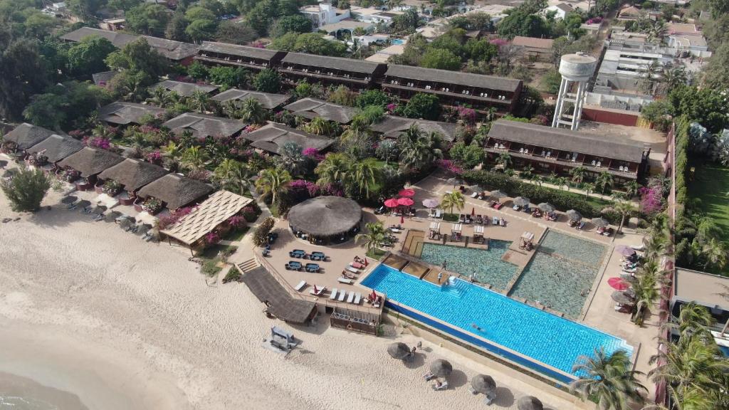 Royal Horizon Baobab