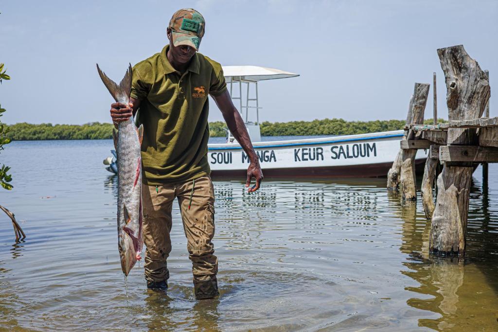 Keur Saloum Resort
