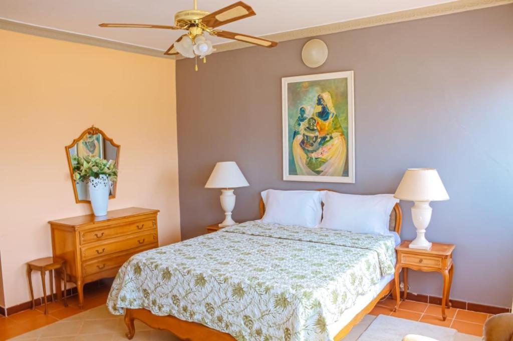 La Palmeraie Saint Louis