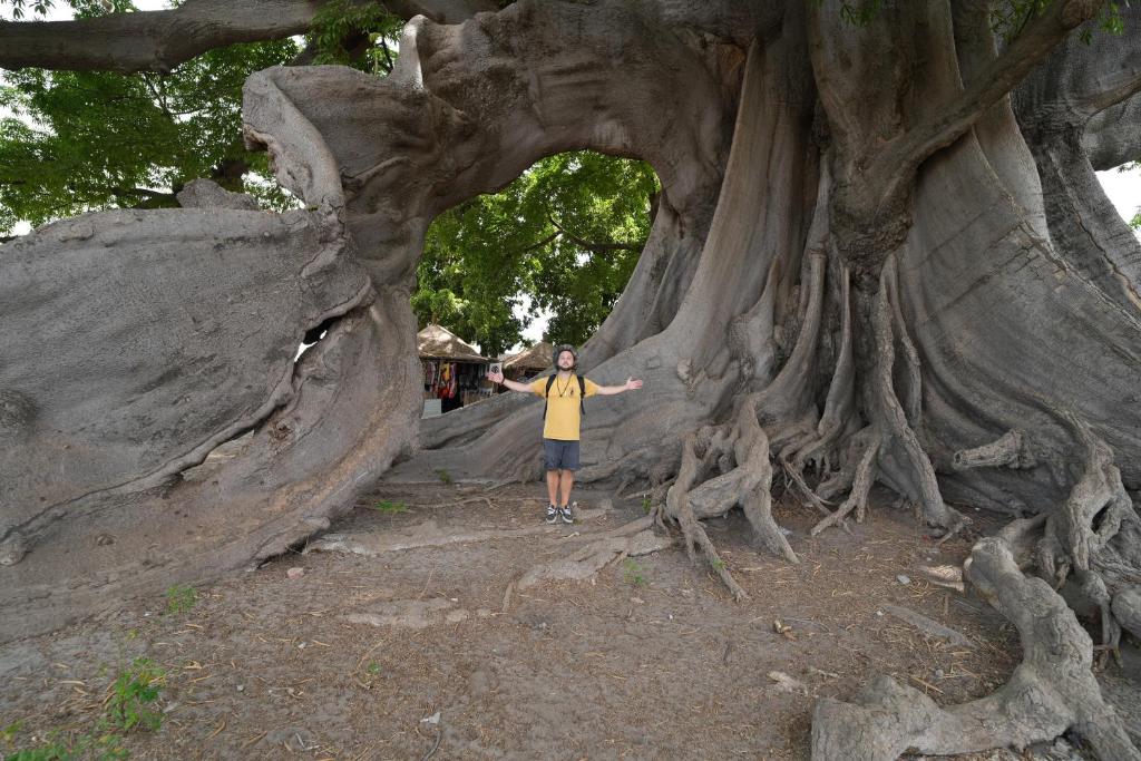 La Teranga Toubacouta