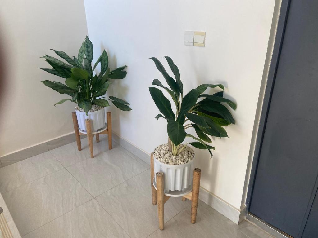 Residence Zeyna Ngor Almadies