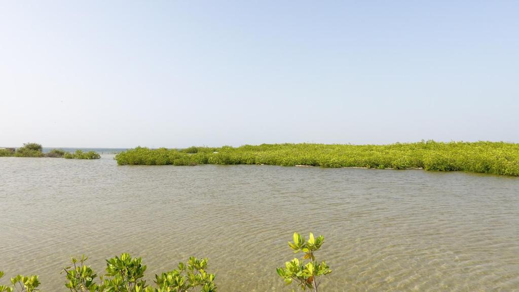 Campement Hakuna Lodge