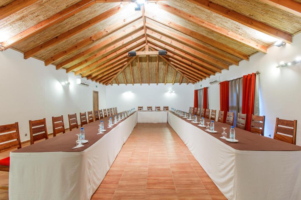 Royal Horizon Baobab