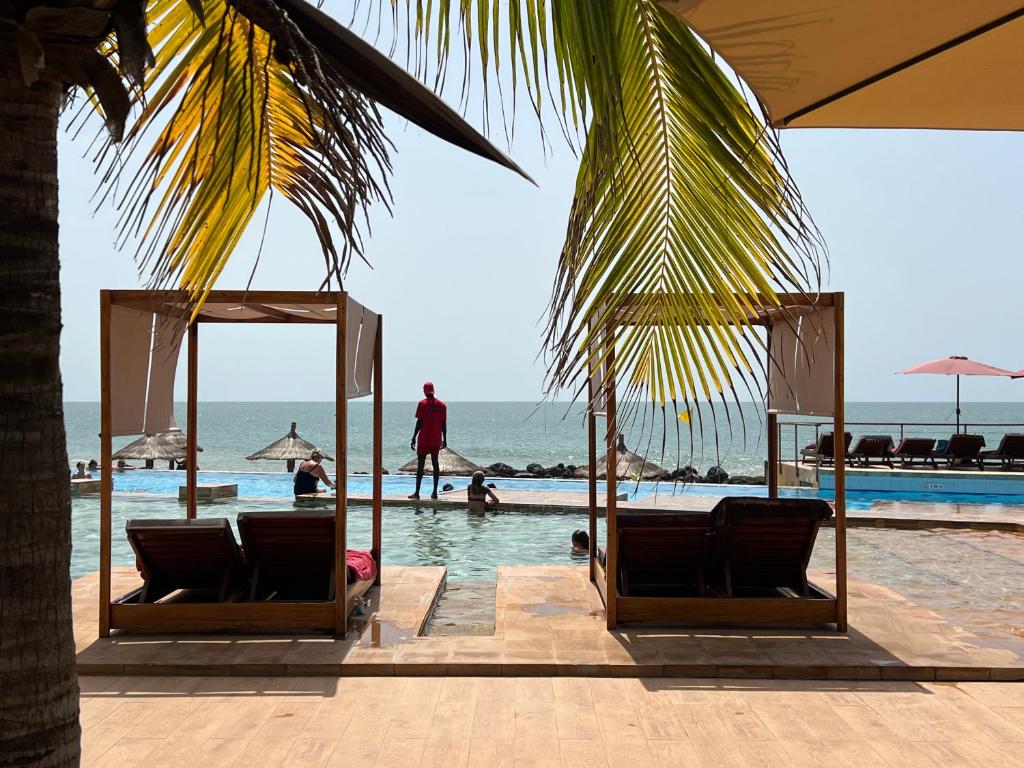 Royal Horizon Baobab