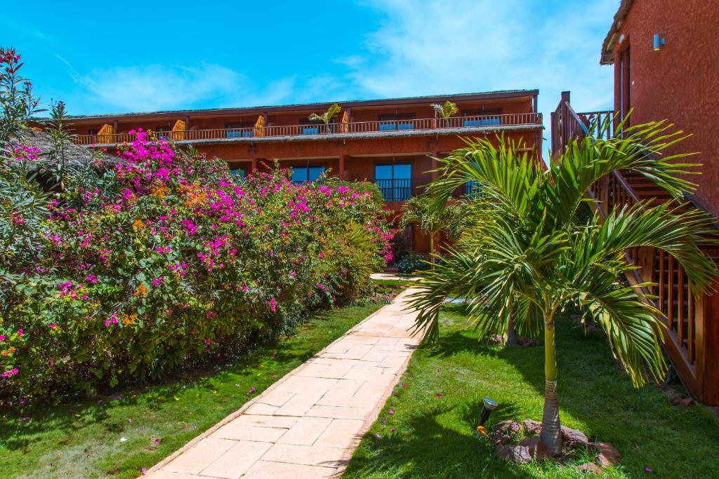 Royal Horizon Baobab