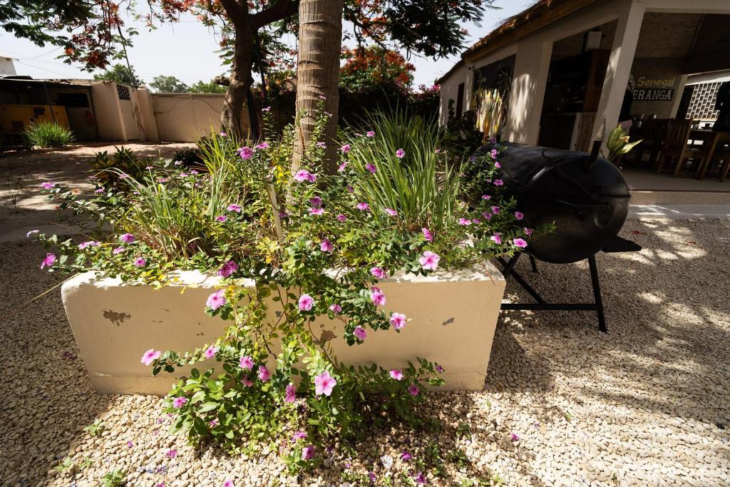 La Teranga Toubacouta