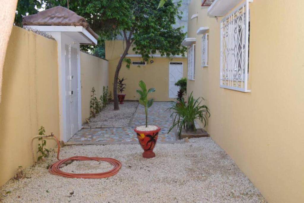 Villa Amoul Solo