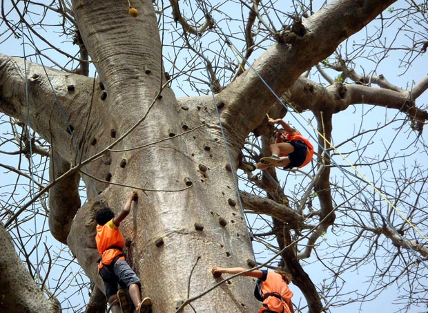 ACCRO BAOBAB ADVENTURE