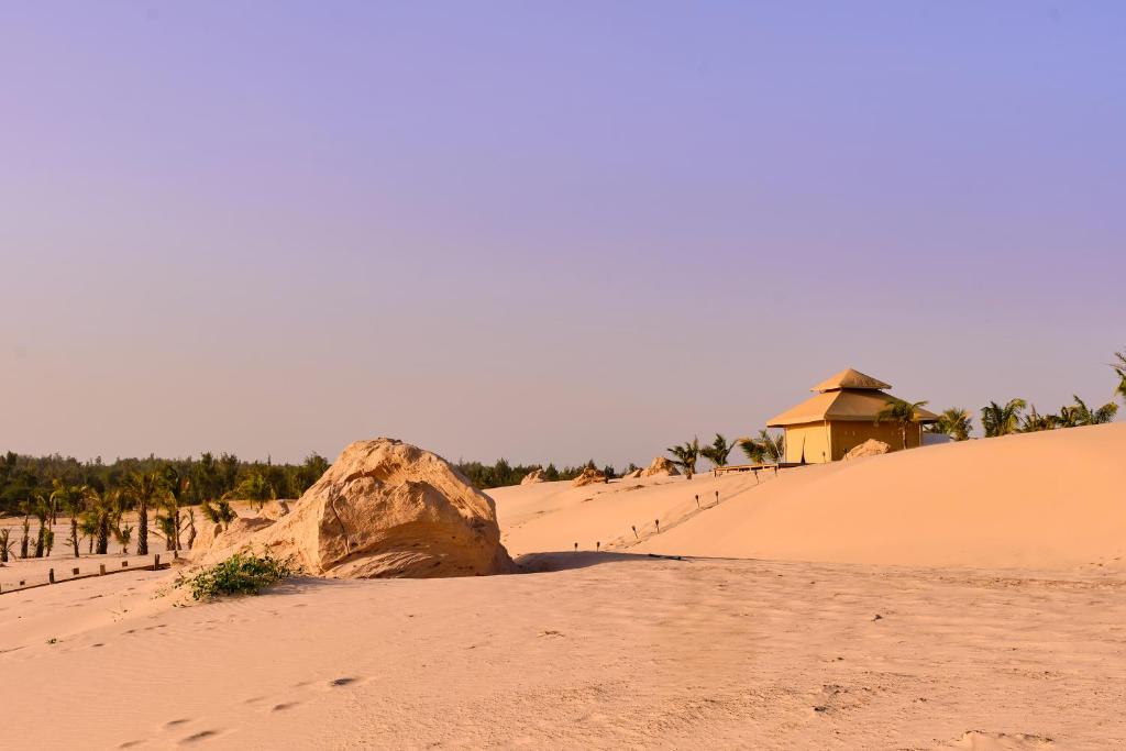 OKAÏ Oasis Desert
