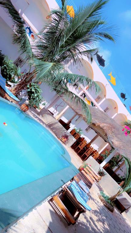 Hôtel évasion pêche djilor île sine saloum